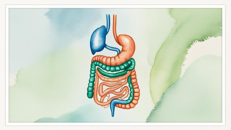 How to manage nausea and other common side effects on Wegovy