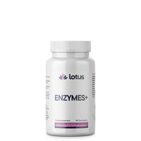 Enzymes +