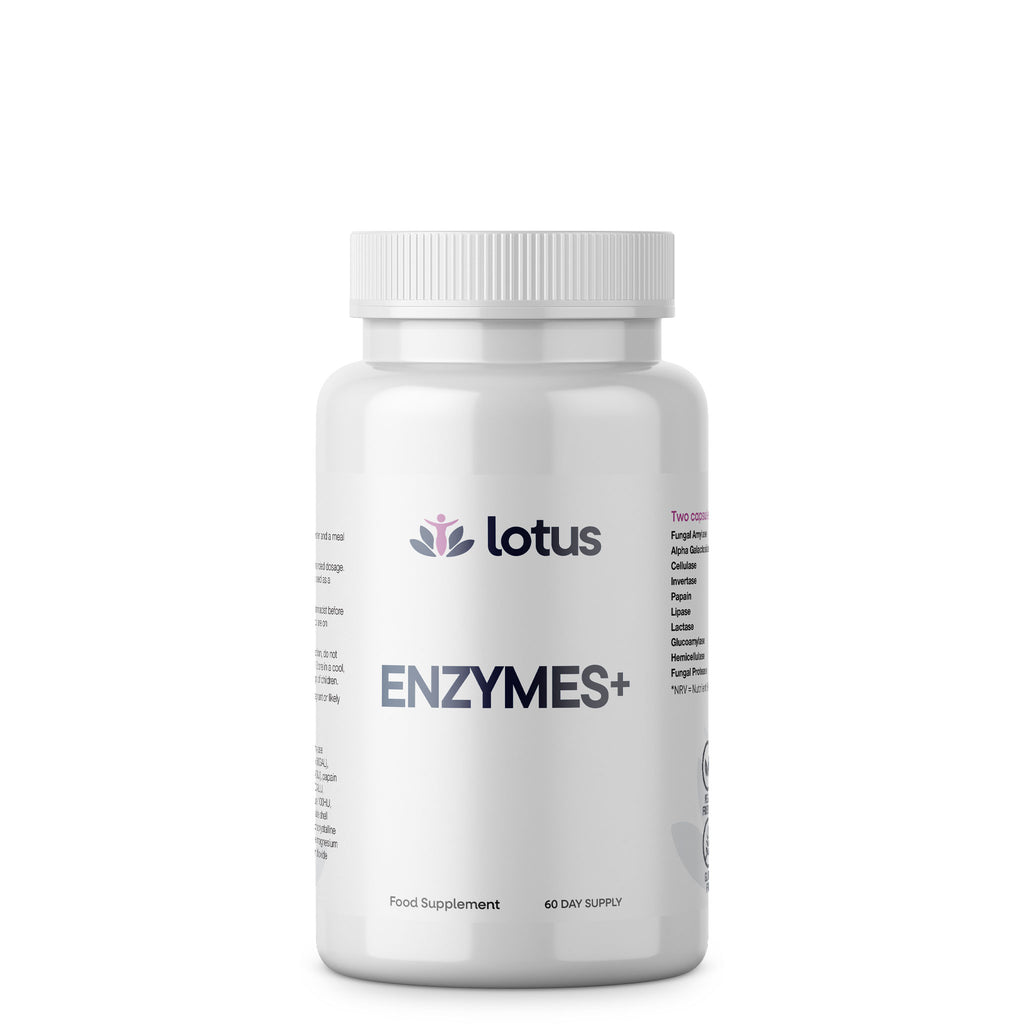 Enzymes +