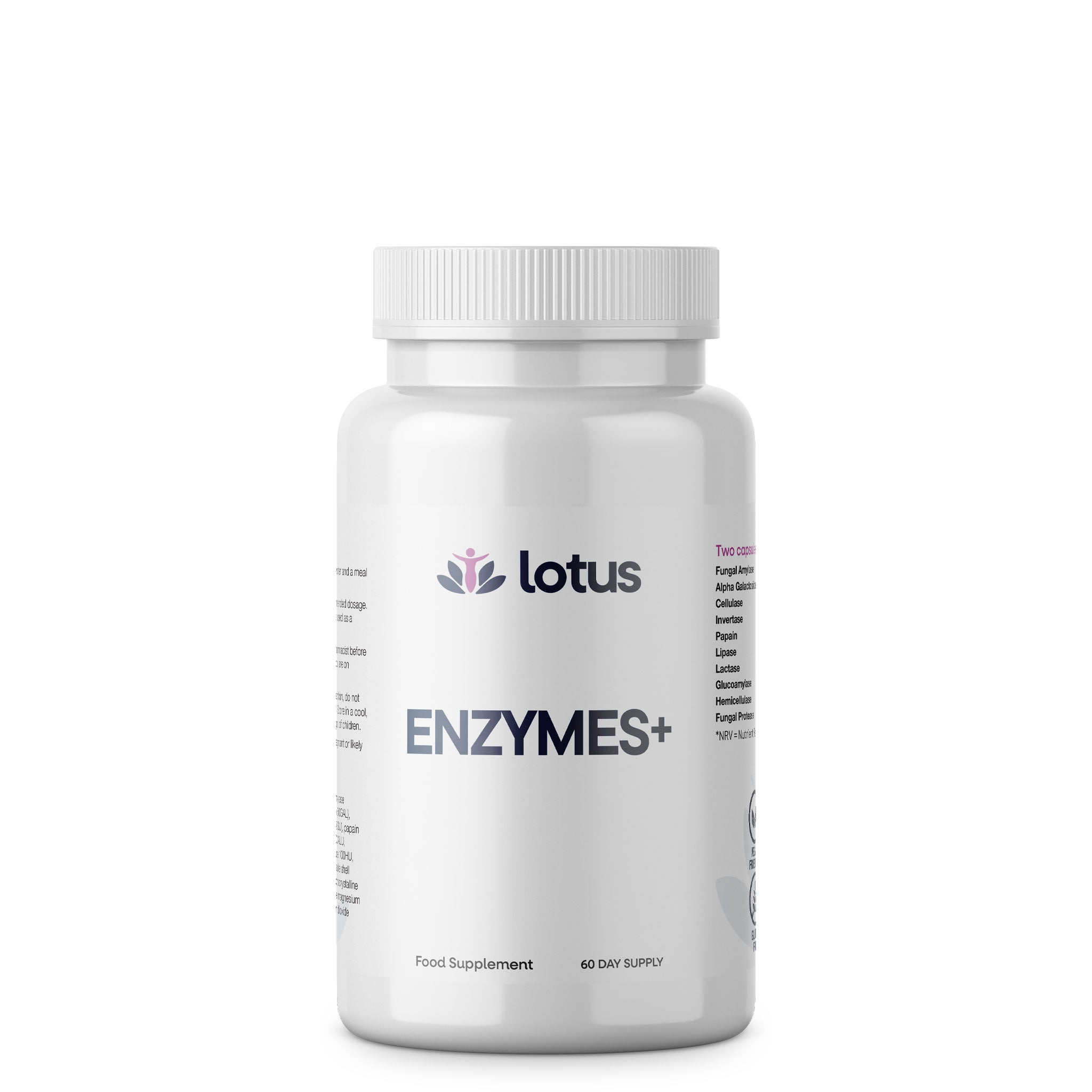 Enzymes +