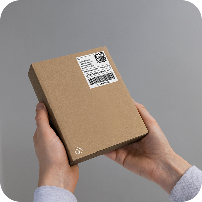 Wegovy + The Lotus Programme